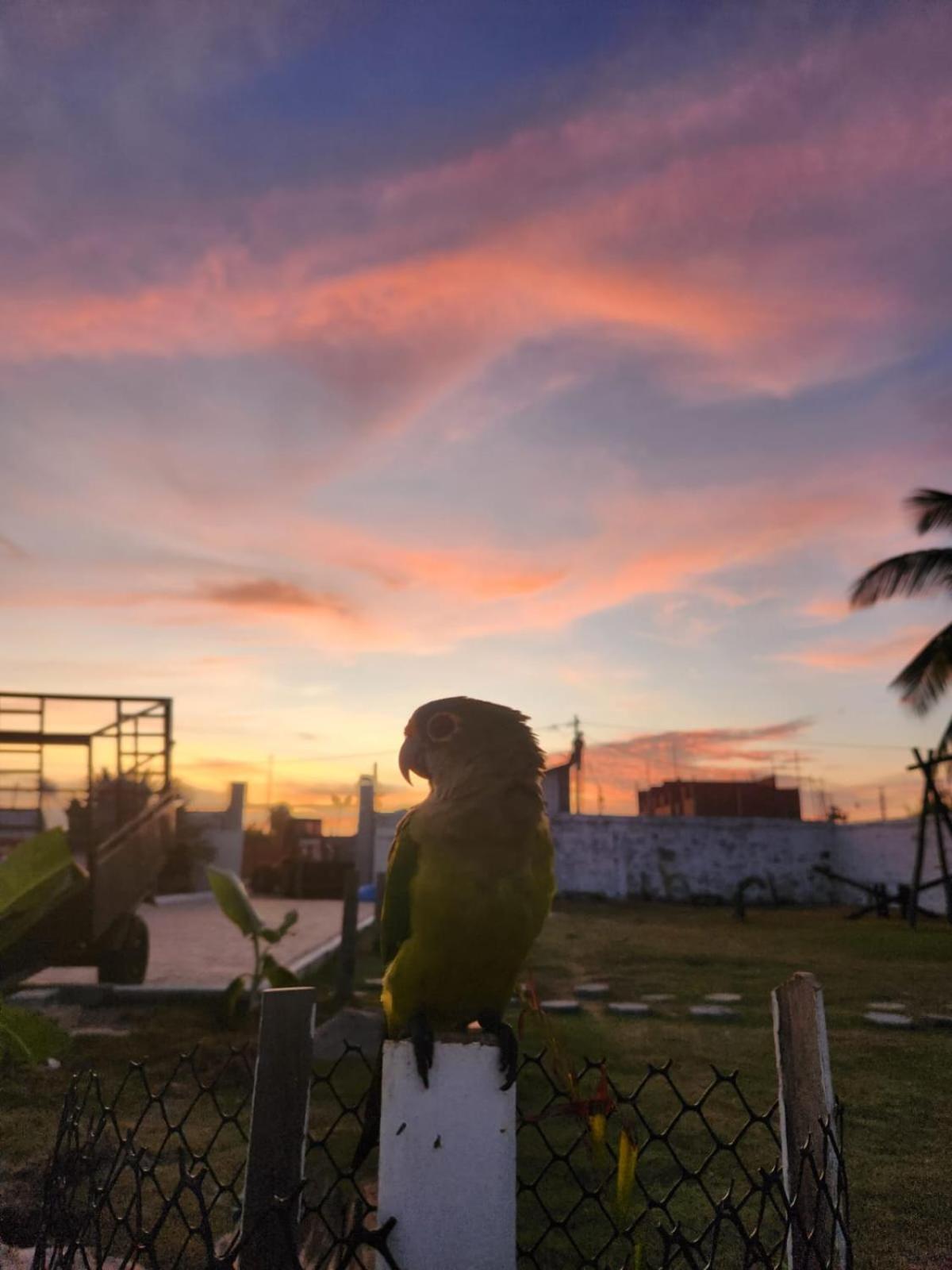 Homestay Eco House Gaivota - Cond Portal Dunas Santo Amaro do Maranhao